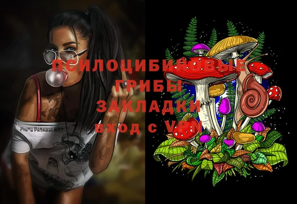 гидропоника Алексин