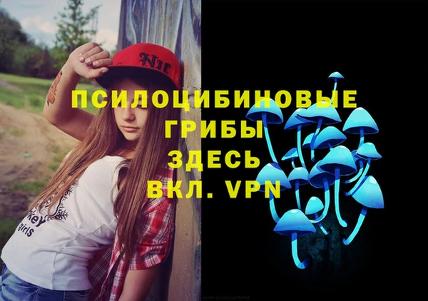 гидропоника Алексин