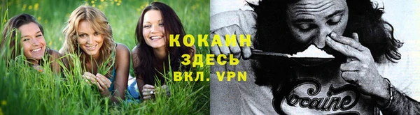 ALPHA PVP Алексеевка